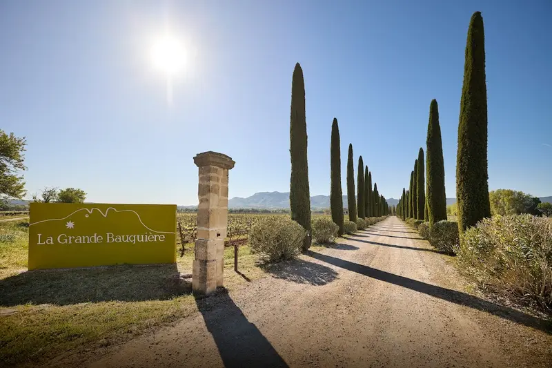 Domaine la Grande Bauquière