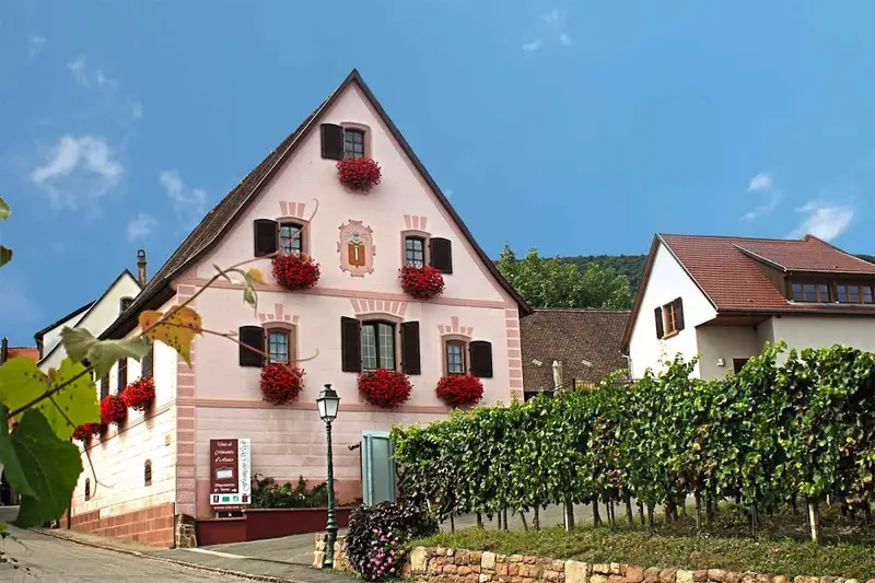 Domaine François Weck