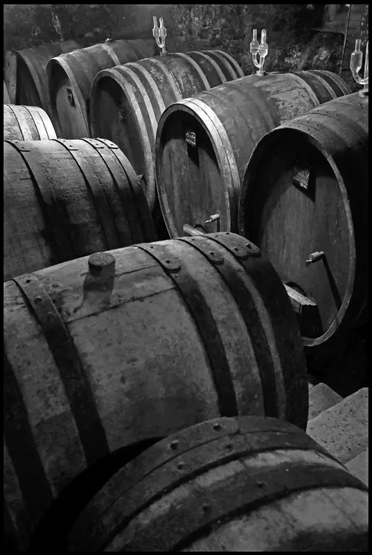 Domaine Marc Tempé