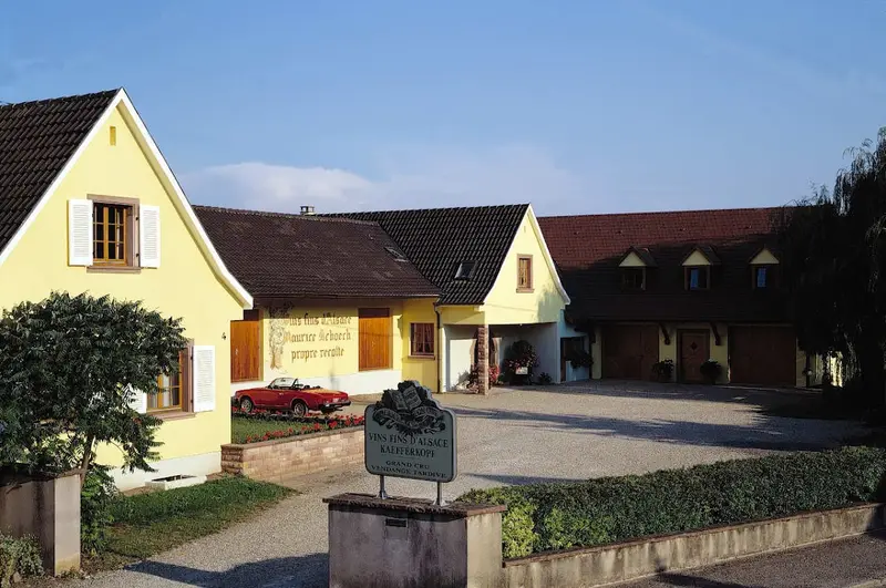 Domaine Maurice Schoech & Fils