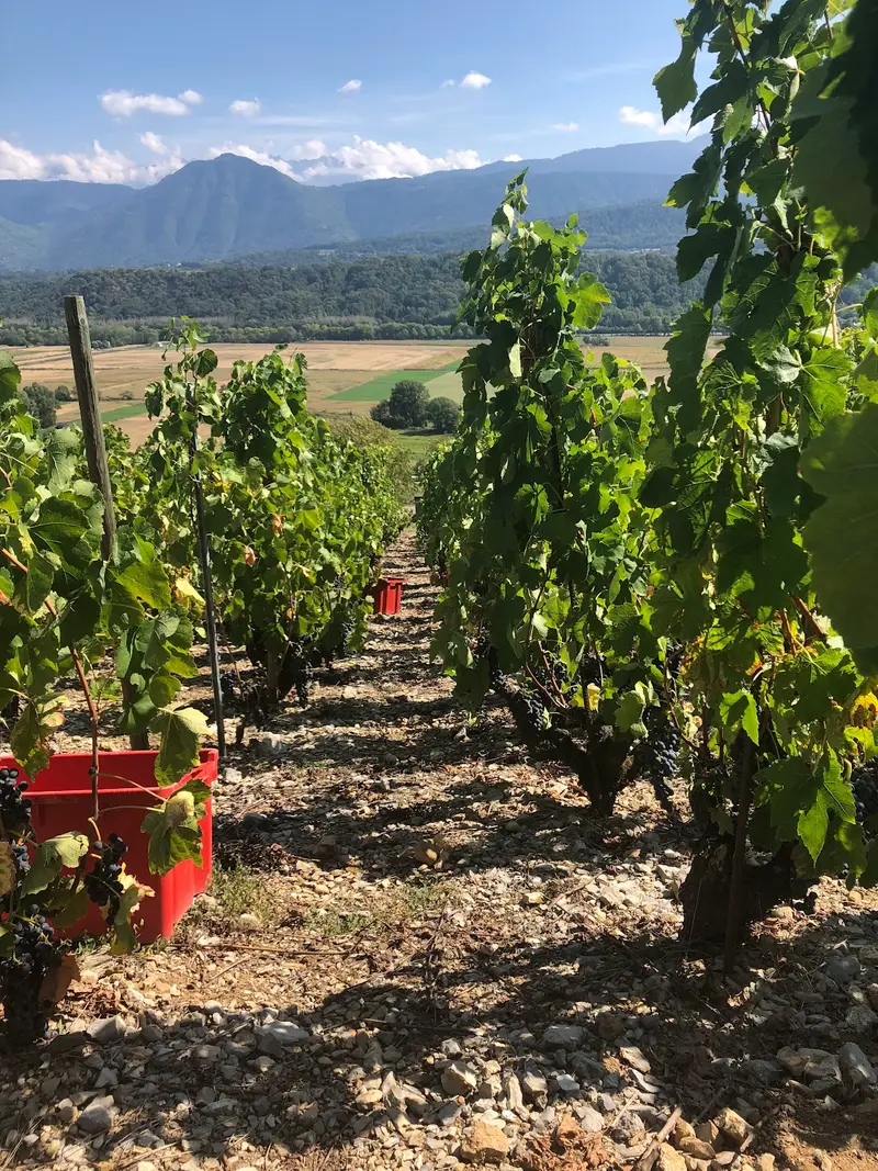 Domaine Céline Jacquet