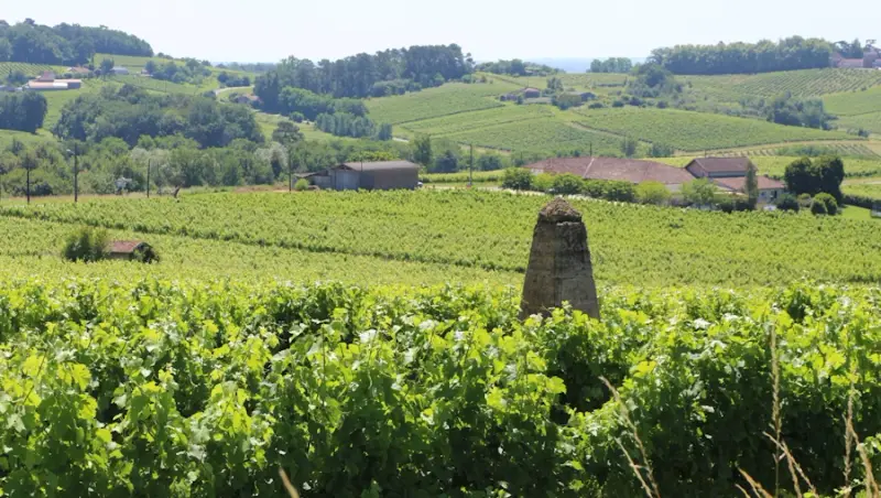 Château Jeantieu