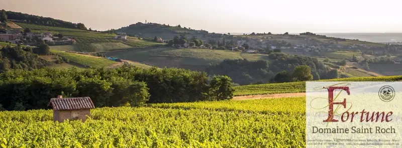 Domaine Saint Roch