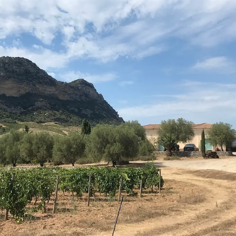 Domaine Leccia