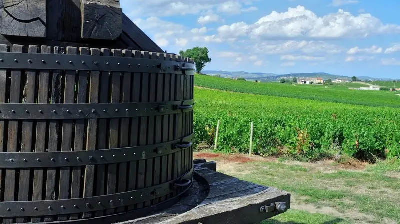 Domaine des Fournelles