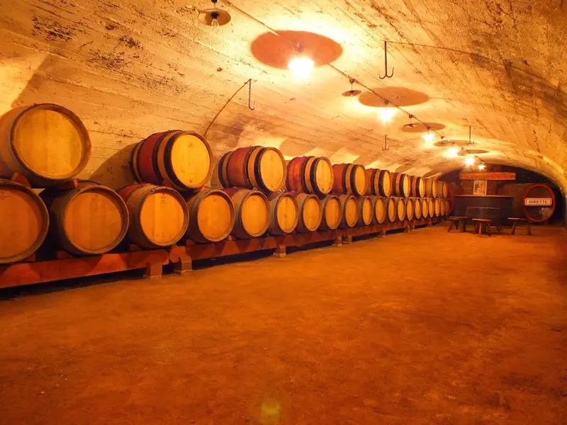 Domaine des Forchets