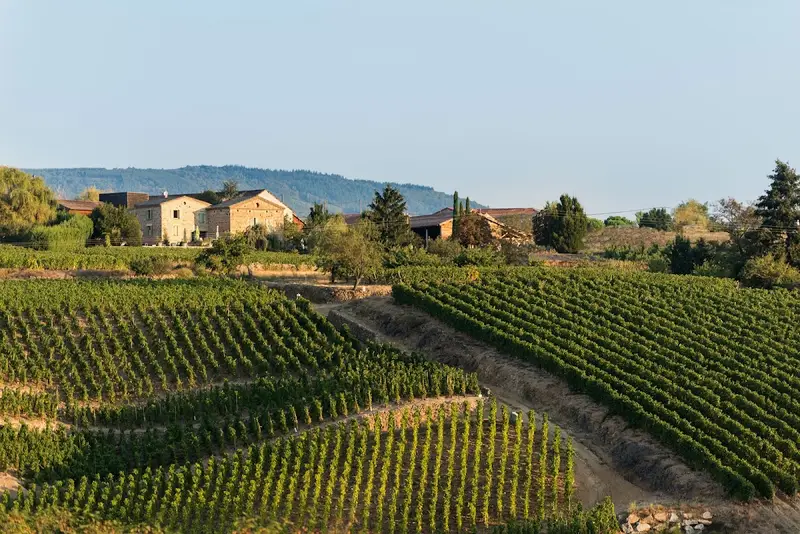 Domaine Pierre Gaillard
