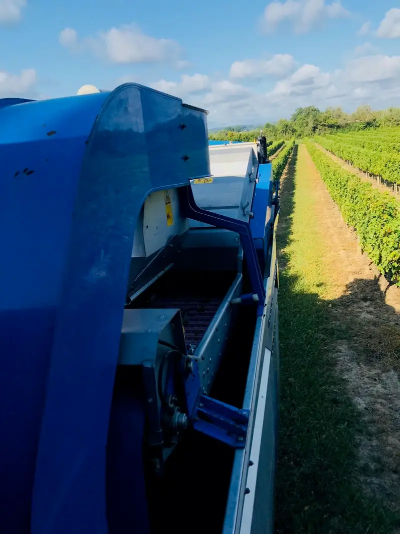 Vignobles Lumeau
