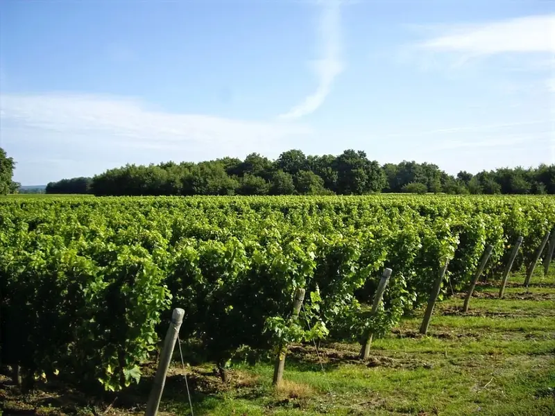 Domaine de Villalin
