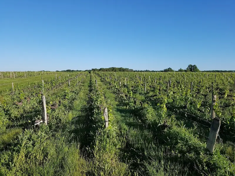 Domaine de la Girardière