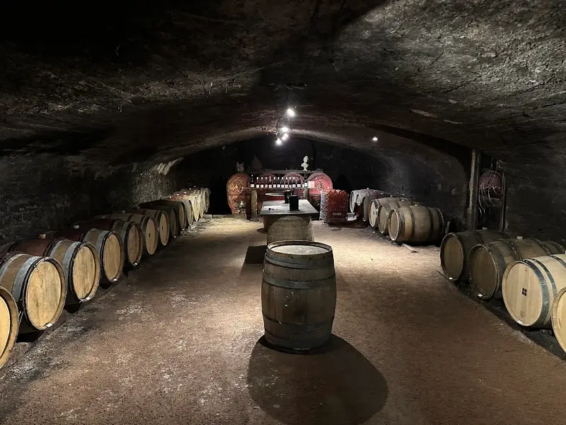 Les Vins de la Chamaille