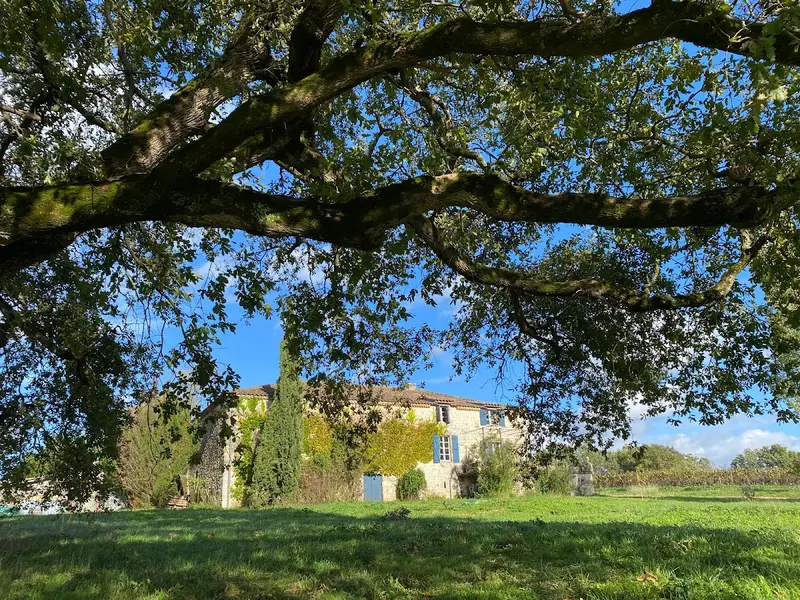Domaine Chêne Lassolle