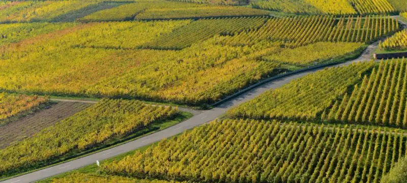 Domaine Adam Pierre