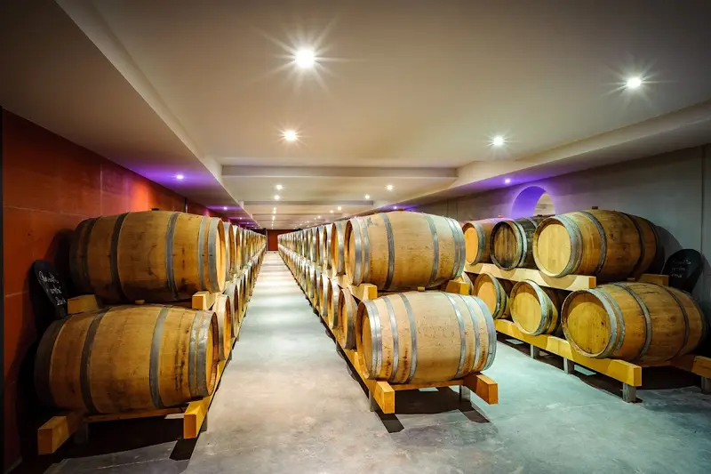 Vignobles Dom Brial