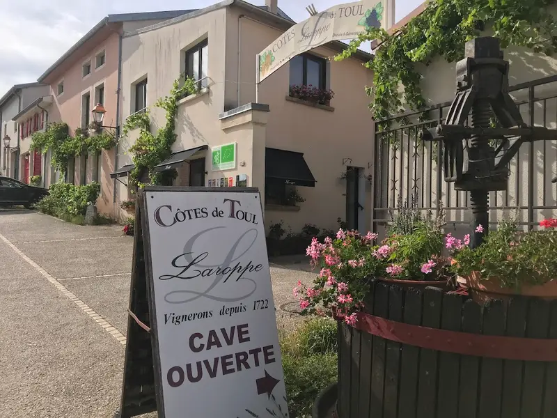 Domaine Vincent Laroppe