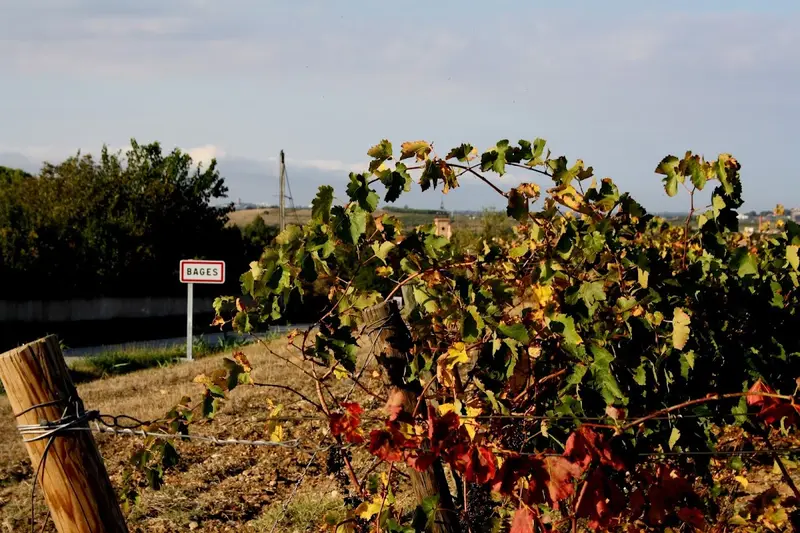 Domaine de Juvi