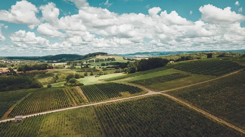 Domaine Laura Bourdy