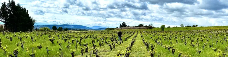 Le Clos du Gravillas