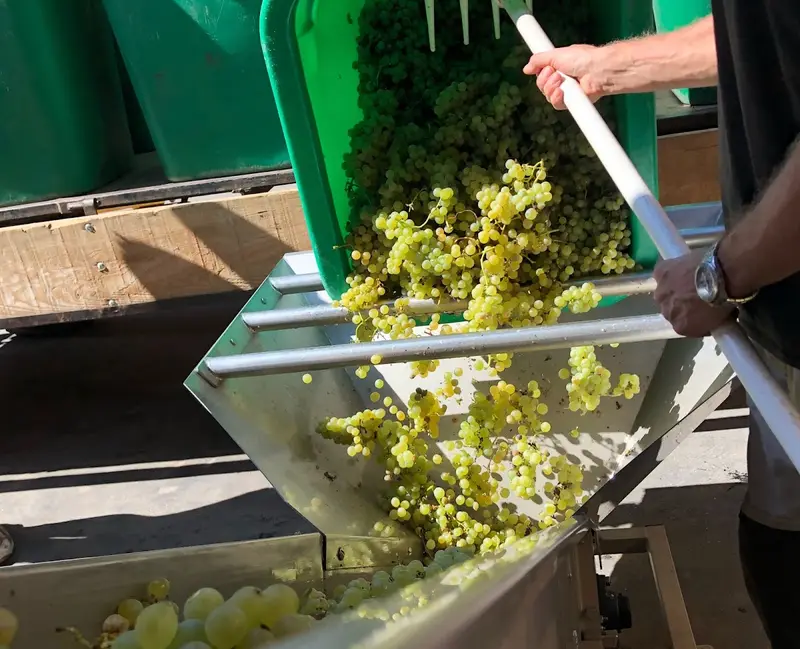 Domaine Léon Heitzmann & Clément Klur
