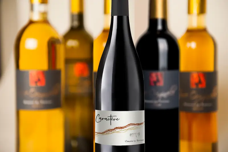 Domaine des Terrisses