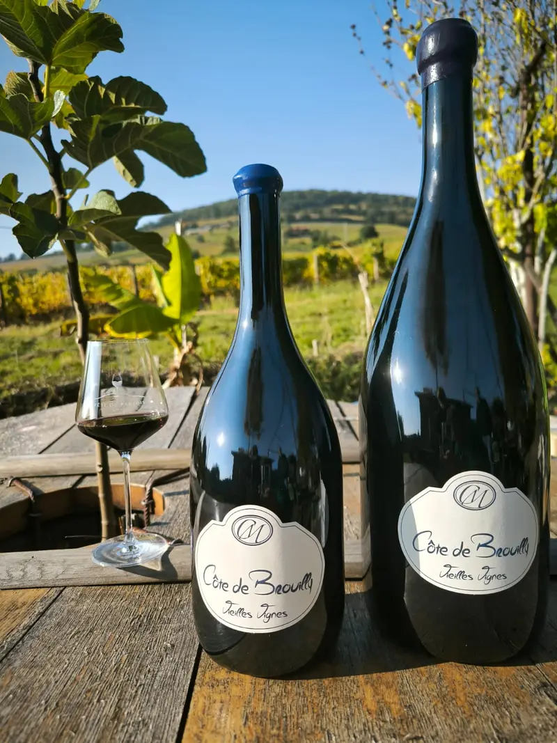 Domaine Chevalier Métrat