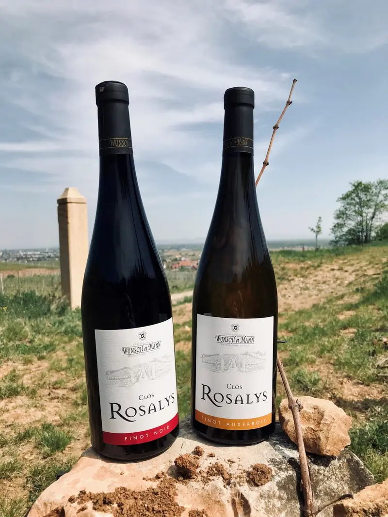 Domaine Wunsch & Mann