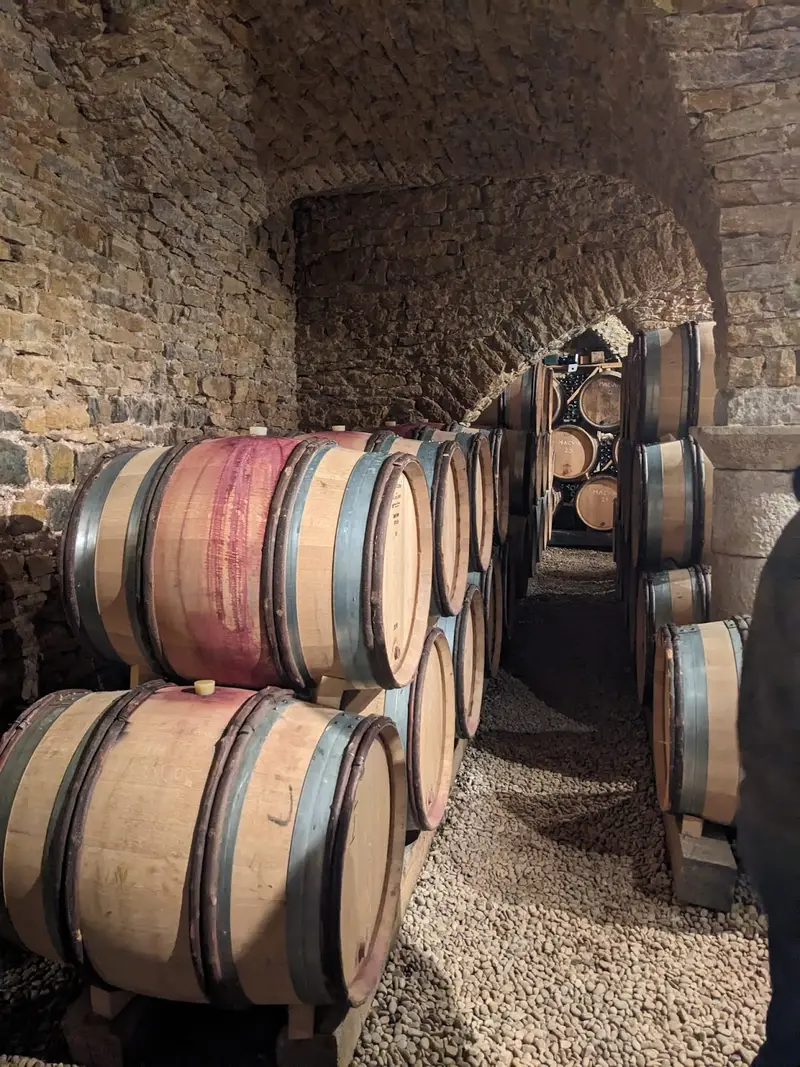 Domaine Jean-Luc Mouillard