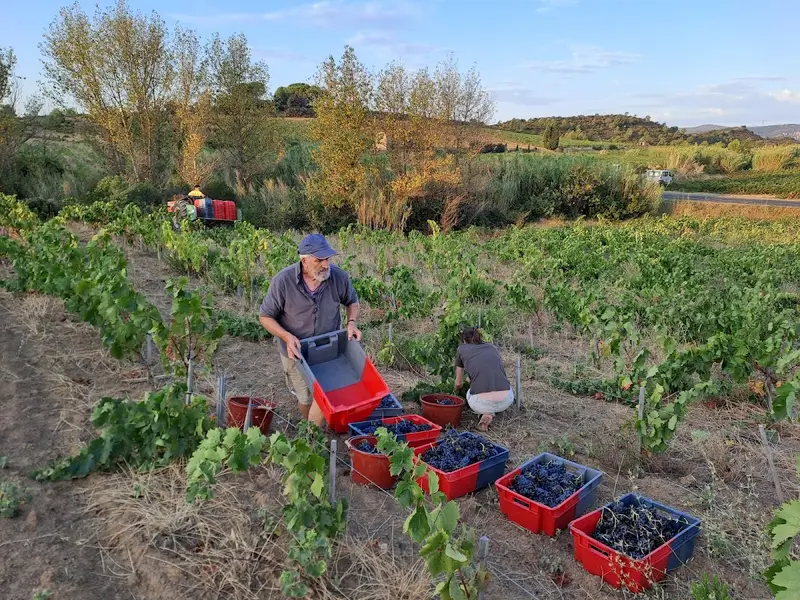 Domaine Pons Gralet