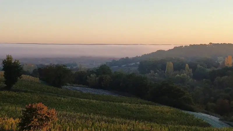 Château le Tap
