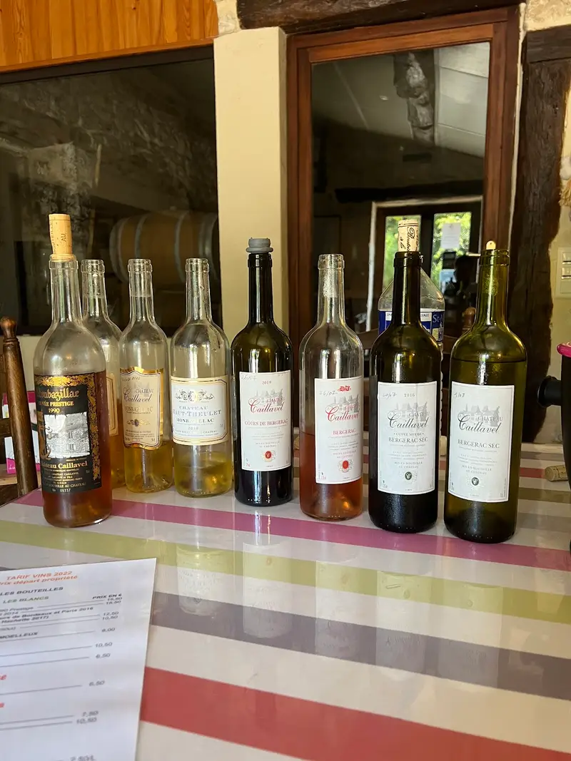 Château Caillavel
