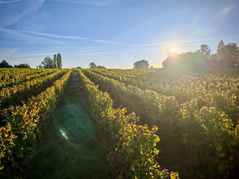 Domaine de Combet