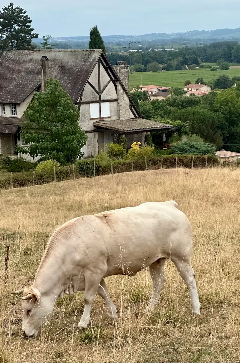 Domaine de Coutancie