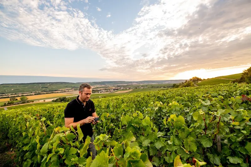 Champagne A. Leconte