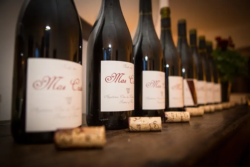 Domaine des Deux Puits - Mas Cristine