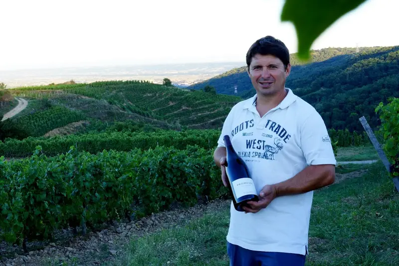 Domaine Si le Vin