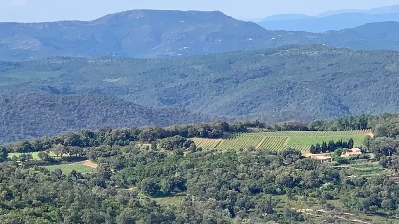 Domaine Murennes