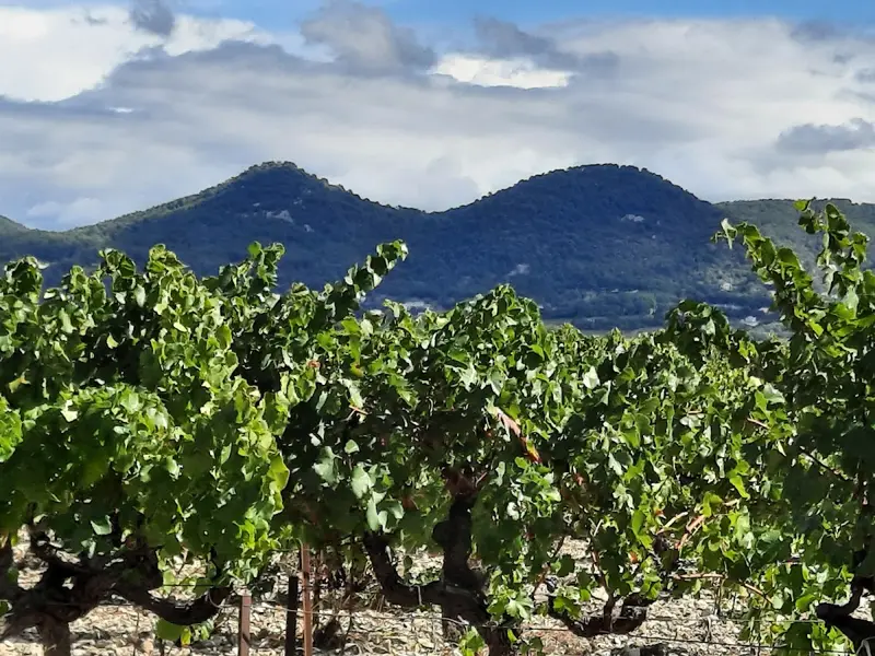 Domaine de la Girardière