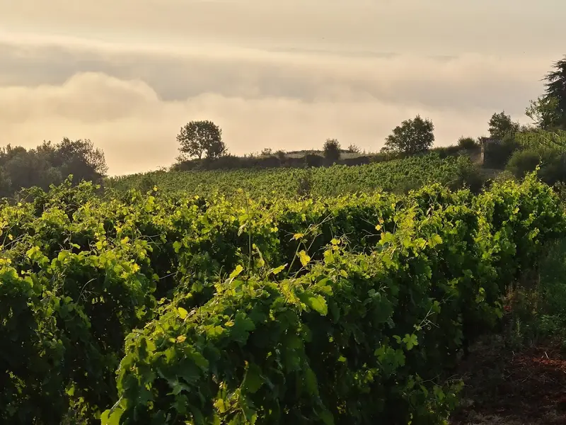 Domaine Lionel Faury