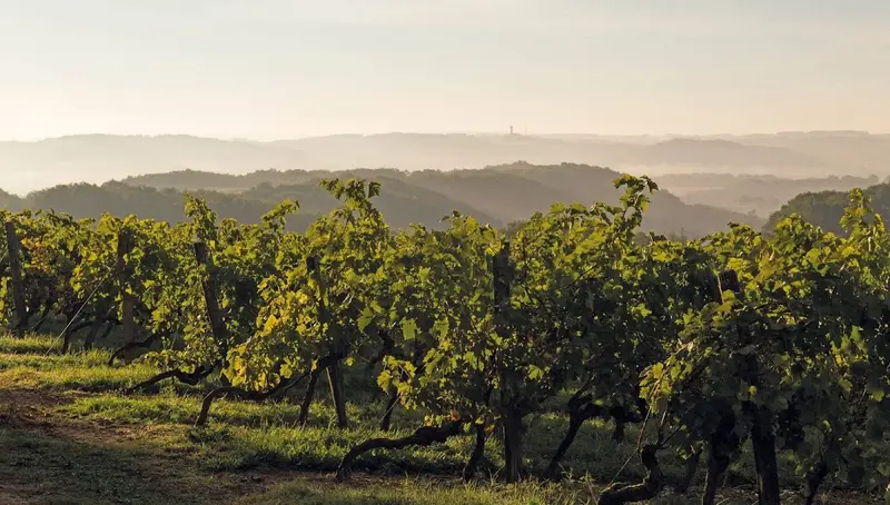 Domaine de Bilé