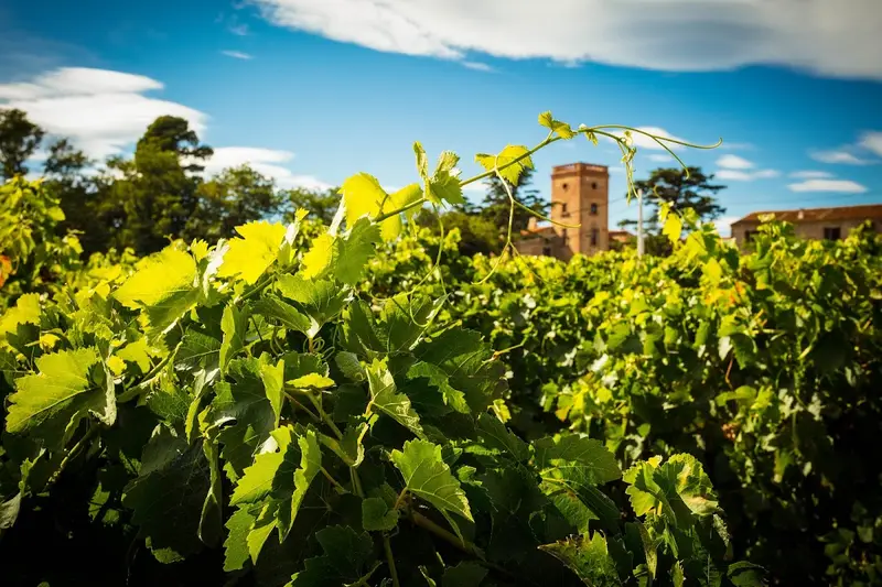Domaine Lafage