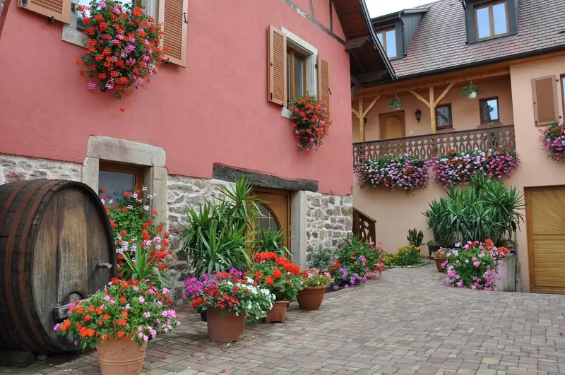 Vignoble Vorburger-Meyer