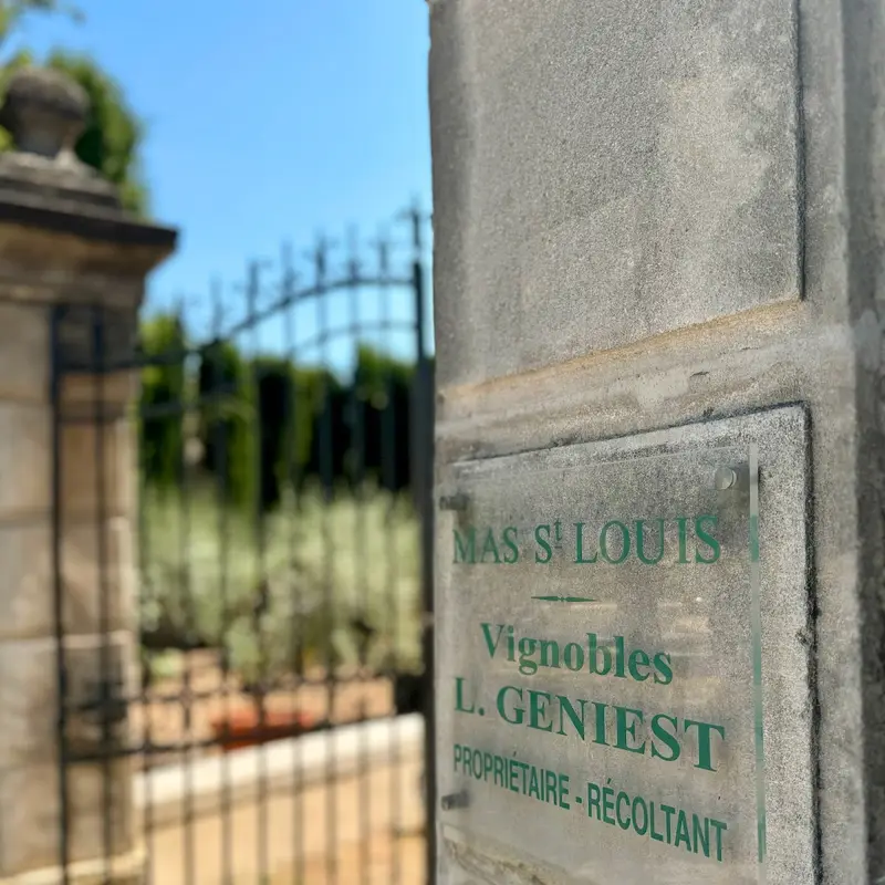 Mas Saint Louis - Vignobles Geniest