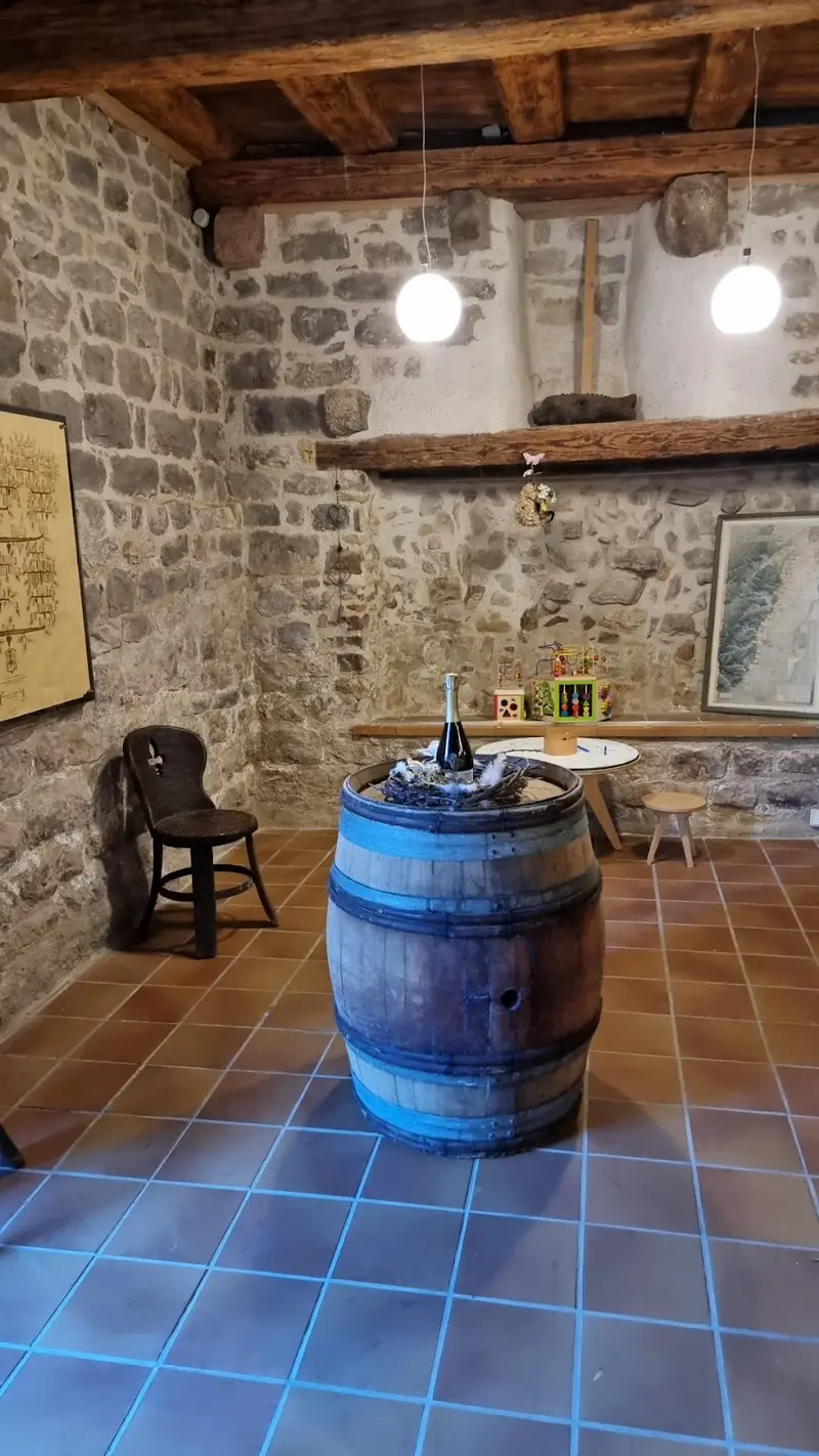 Domaine Paul Humbrecht