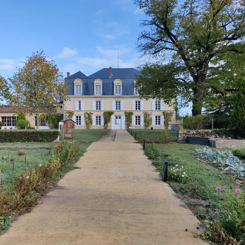 Château Guiraud