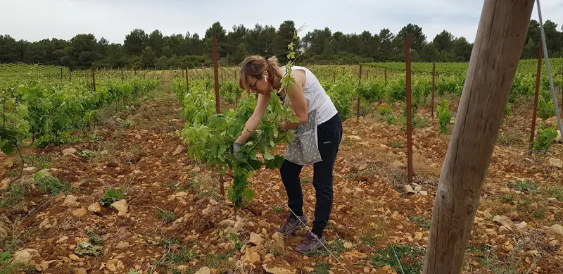 Domaine du Grand Crès