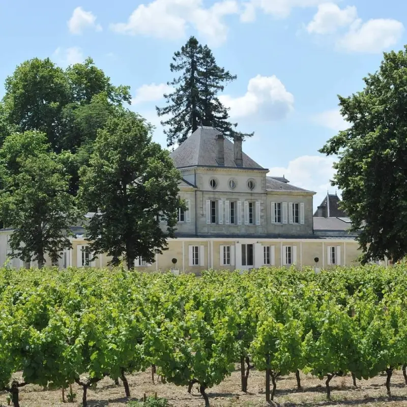 Château Haut Nouchet