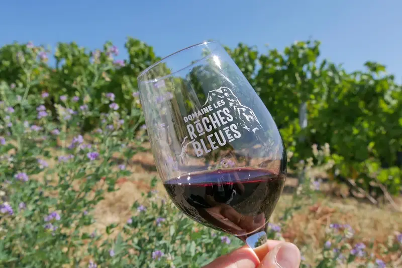 Domaine les Roches Bleues