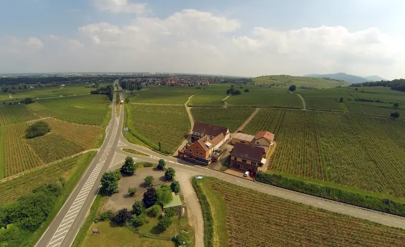 Vins Lorang Victor & Fils
