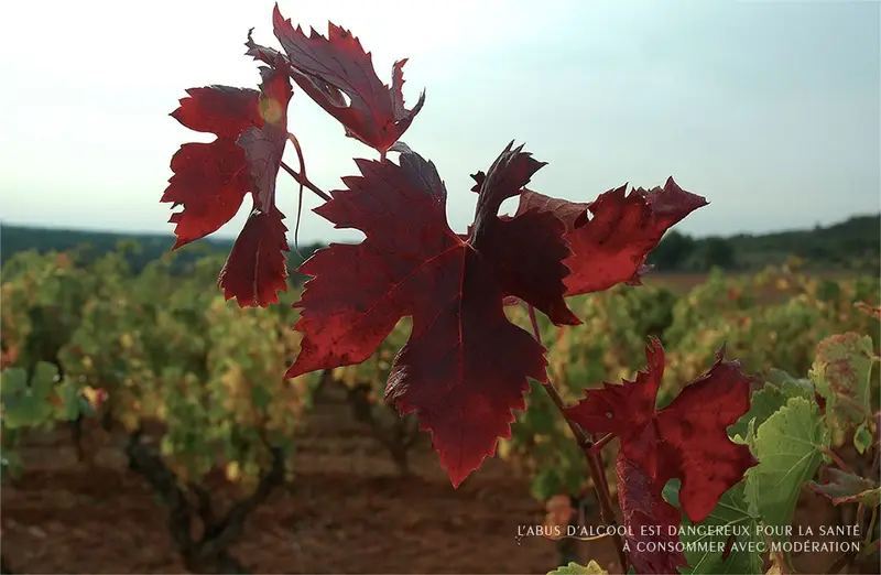 Domaine de Lansac