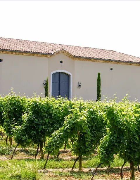Domaine du Pountet